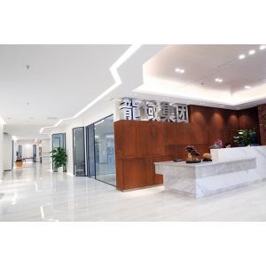 廣東龍域建設集團